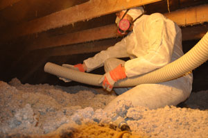 Attic Insulatoin